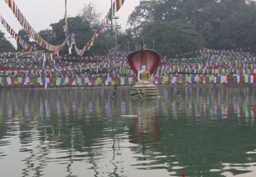 IMG 0070